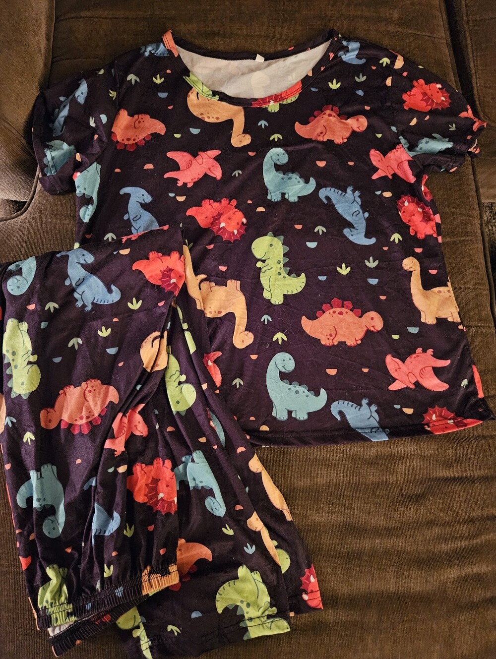 This Colorful Dinosaur Print Pajama Lounge 2-piece Set In Size Large L